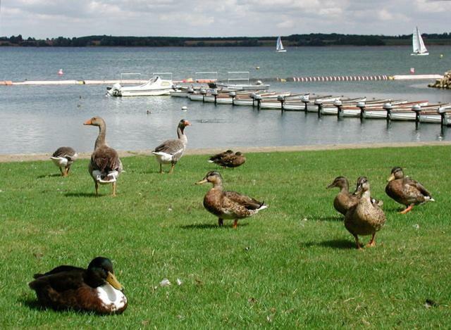 Grafham Water Lodge Екстер'єр фото
